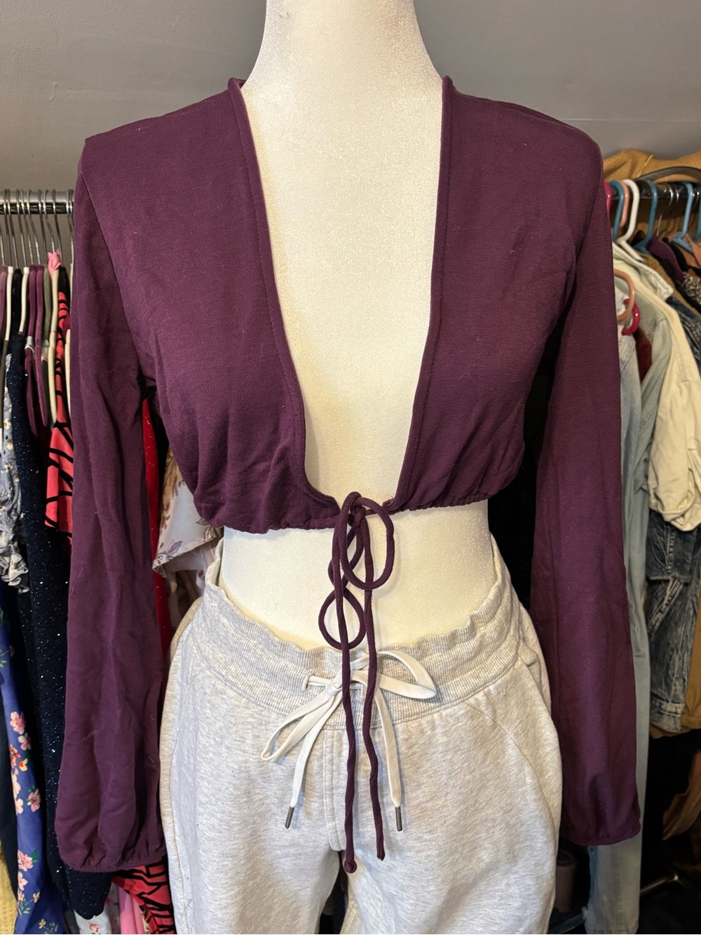 Plum Long-Sleeve Tie-Front Crop Top